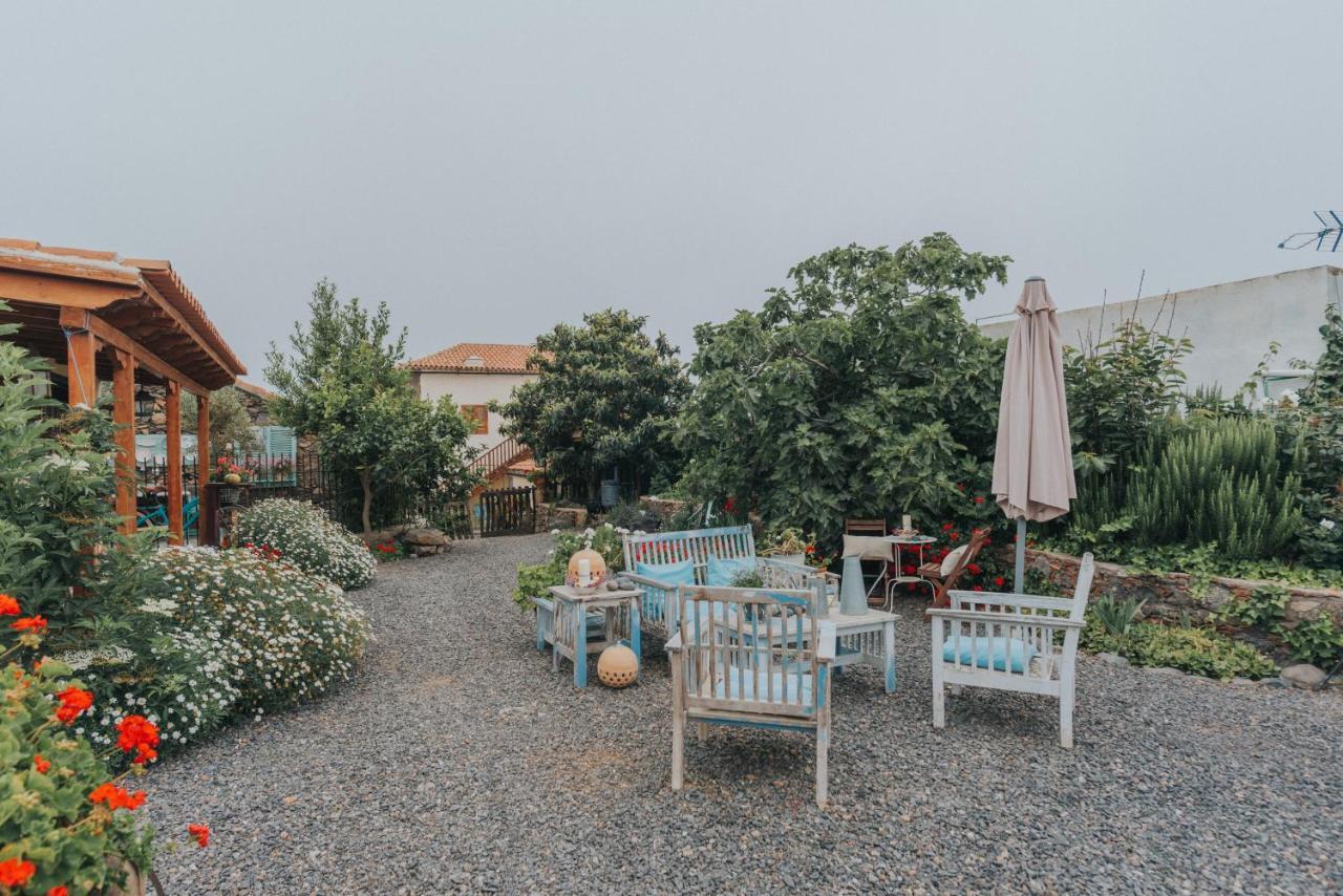 Casa Jacinta Con Jacuzzi Konuk evi Costa Adeje Dış mekan fotoğraf