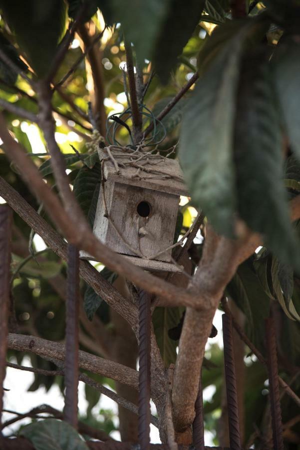 Casa Jacinta Con Jacuzzi Konuk evi Costa Adeje Dış mekan fotoğraf